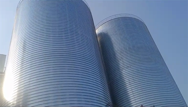 松江2座混凝土高架卷板仓